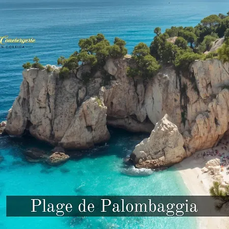 12 Pers Au Centre De Porto-vecchio Avec Piscine Villa *
