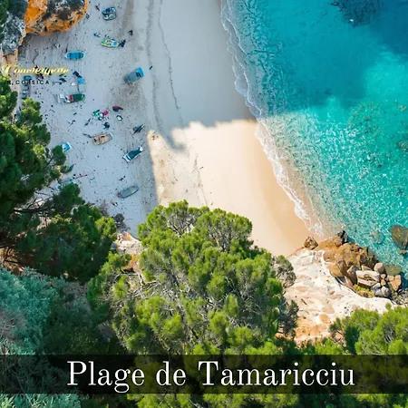 12 Pers Au Centre De Porto-vecchio Avec Piscine Villa *